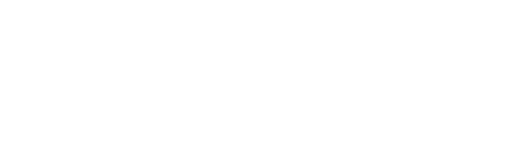 Logo Niméa inversé